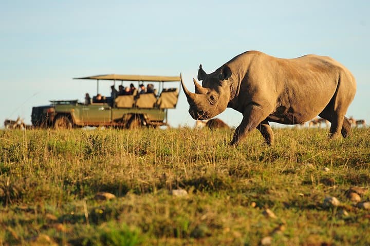 5-Day Garden Route in 4-star Accommodation (BB)