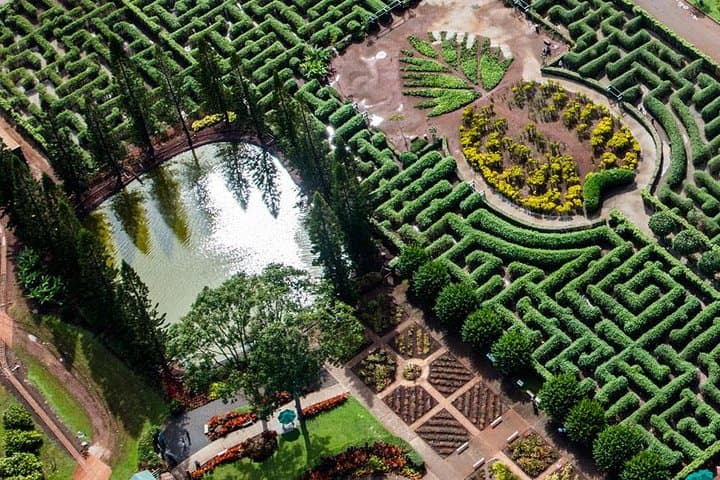 Dole Maze