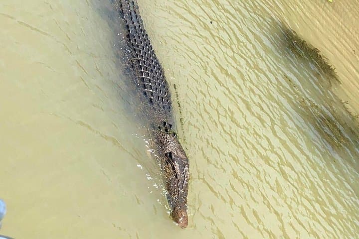 Kakadu Yellow Waters Cruise & Katherine Gorge Helicopter Scenic
