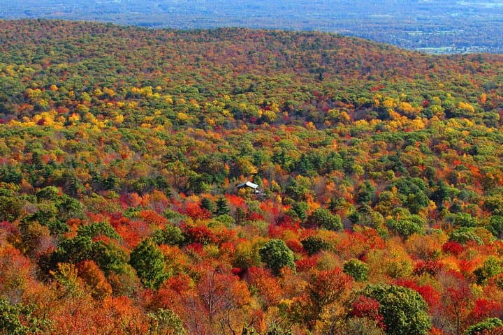 Private Hudson Valley Fall Foliage Helicopter Charter from Manhattan