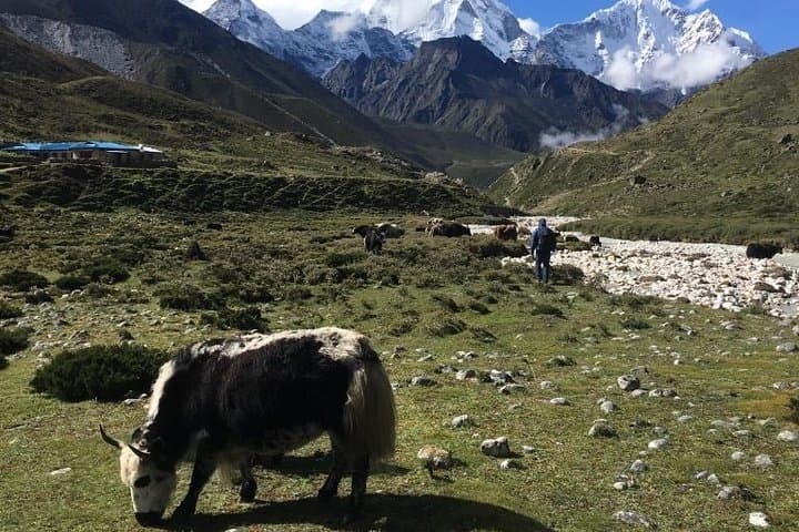 Private Landing at Everest Base Camp Kalapathar by Helicopter