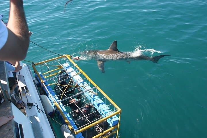 3-Day Attraction Tour: Helicopter & Cape Peninsula & Wine Tasting