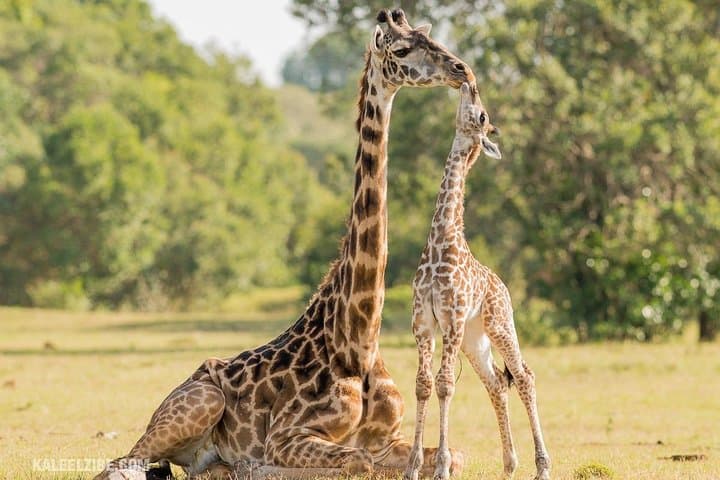 6-Day South Africa Honeymoon Tours-Cape Town&Johannesburg&Durban
