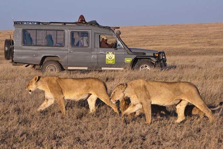 6-Day South Africa Honeymoon Tours-Cape Town&Johannesburg&Durban