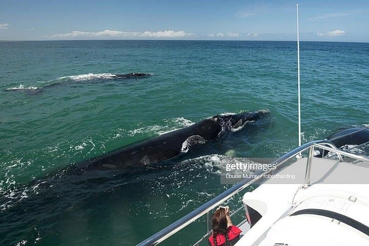 6-Day South Africa Honeymoon Tours-Cape Town&Johannesburg&Durban