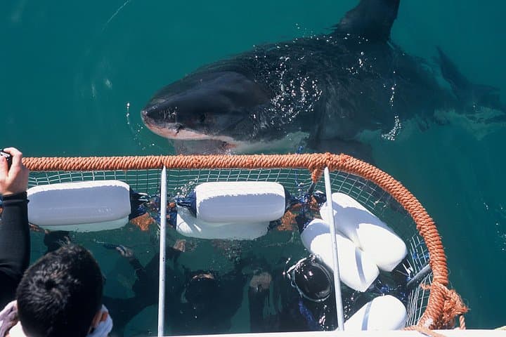 6-Day South Africa Honeymoon Tours-Cape Town&Johannesburg&Durban