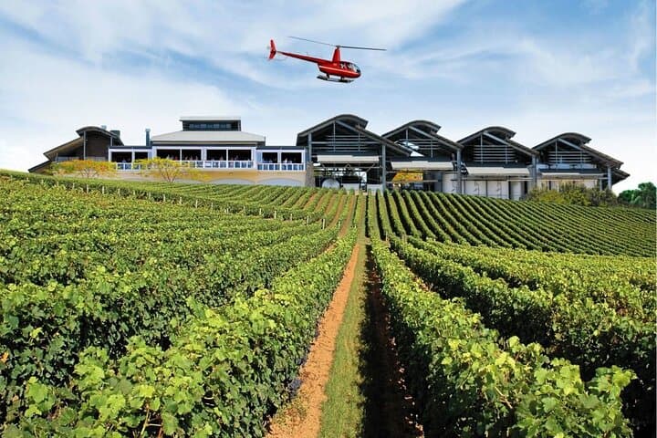 Sirromet Winery + CBD & Mt Coot-tha Private Helicopter Experience