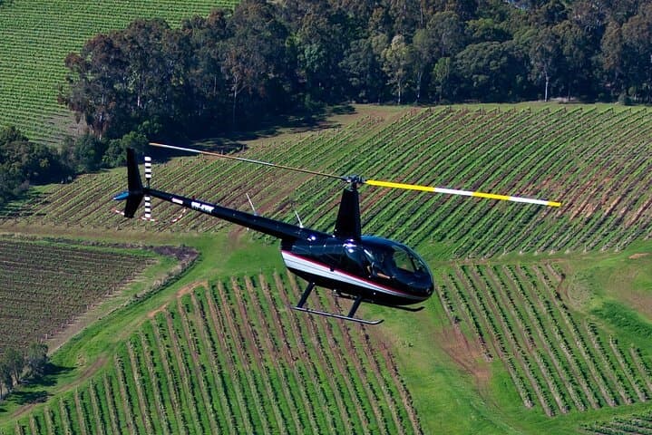 Hunter Valley Wine Country Helicopter Flight from Cessnock