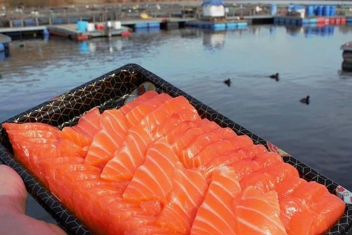 High Country Salmon