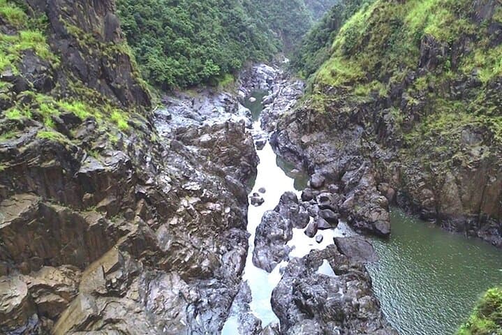 30 minute Rainforest Scenic Flight