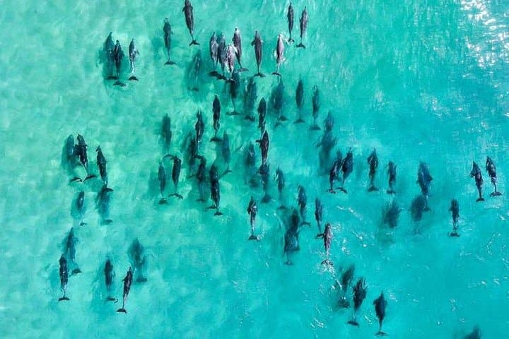 30 minute Reef Scenic Flight