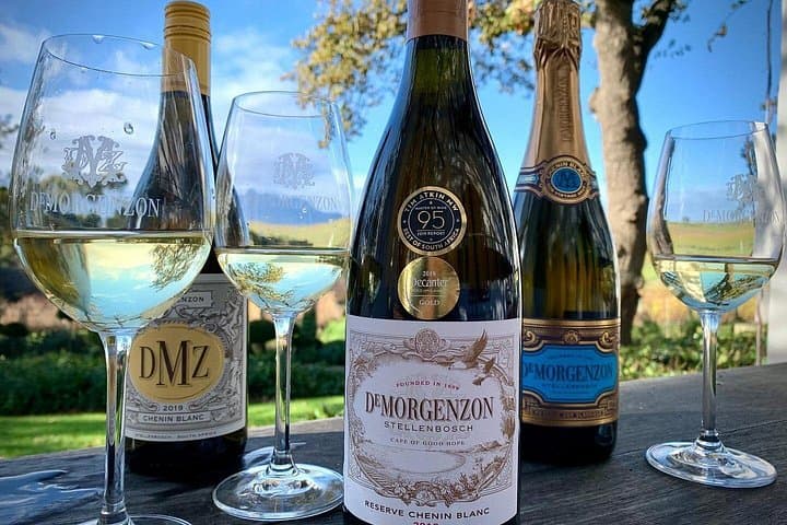 DeMorgenzon wine tasting