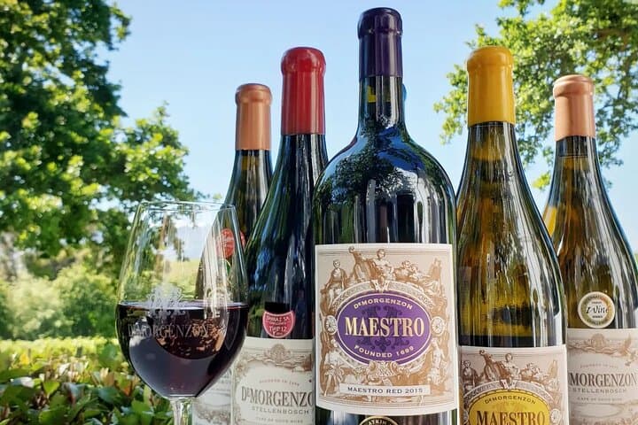 DeMorgenzon wine tasting