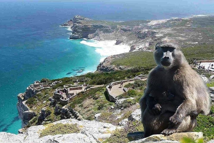 Cape Point/Cape of Good Hope