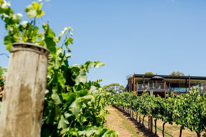 Helicopter Winery Lunch to Jack Rabbit on the Bellarine Peninsula