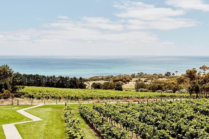 Helicopter Winery Lunch to Jack Rabbit on the Bellarine Peninsula