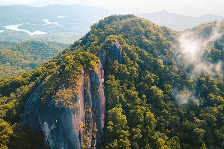 60 minute Reef and Rainforest Scenic Flight