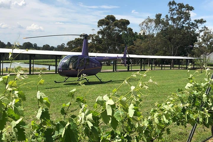 3 Hour Helicopter Wine Tasting Tour in Hunter Valley