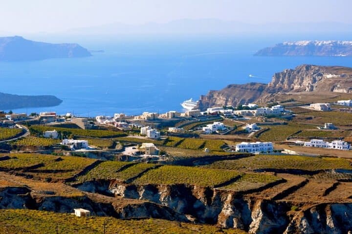 Getting insights on Santorini vines