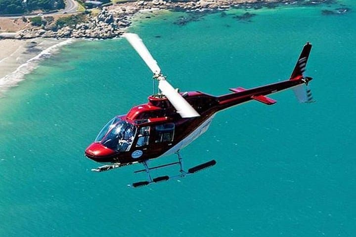 Two Oceans Scenic Helicopter flight Tour from Cape Town