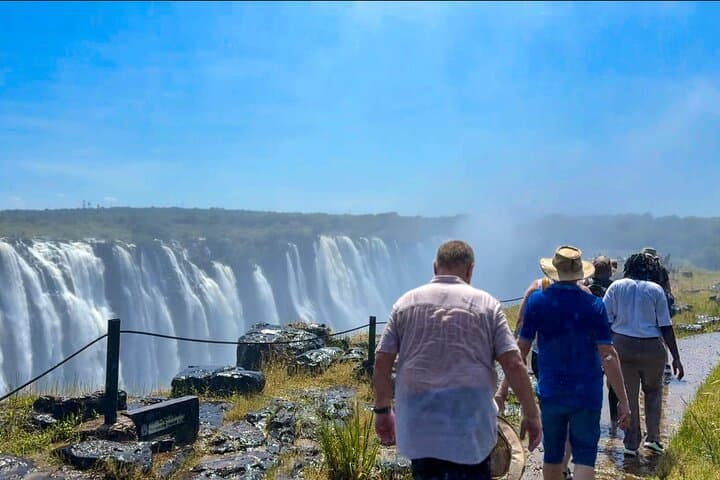 Guided Tour of the Falls