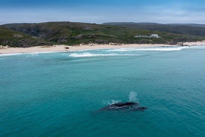 Cape Town Scenic Helicopter Flight