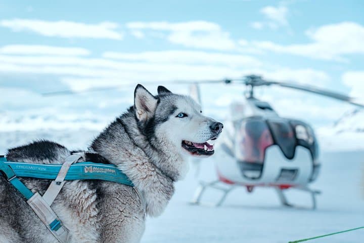 Fire and Ice Helicopter Tour Glacier and Hengill Geothermal Area