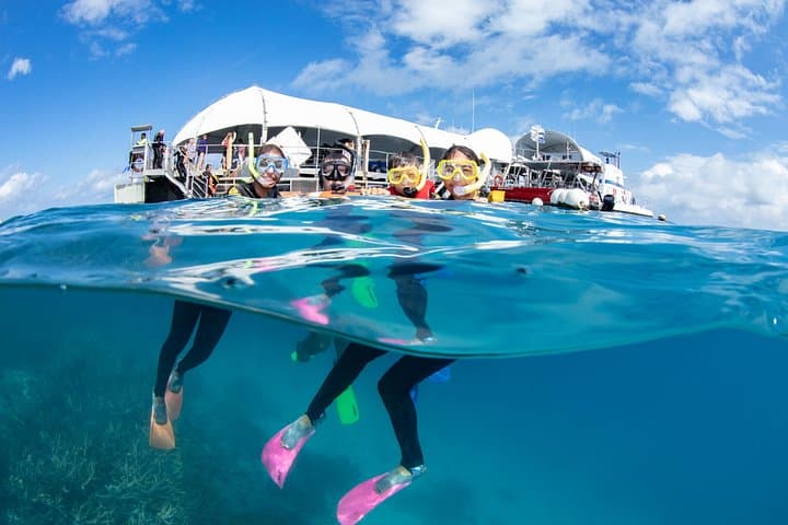 Full Day Great Barrier Reef Tour and Helicopter Flight