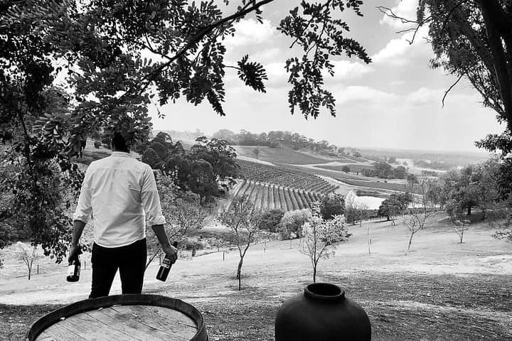 Hunter Valley Scenic Helicopter Flight with Lunch - For 2