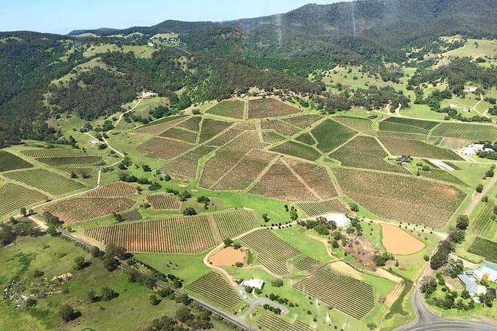 Hunter Valley Scenic Helicopter Flight with Lunch - For 2