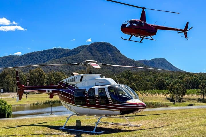 Hunter Valley Helicopter Tour: Bubbly Breakfast