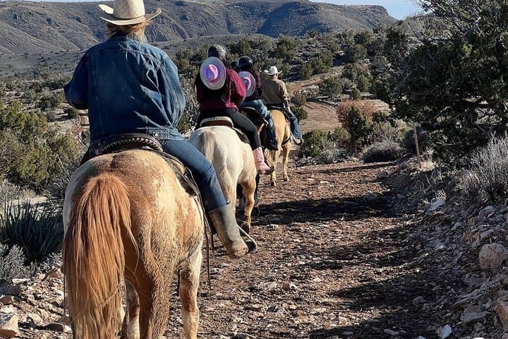 Grand Canyon Helicopter and Ranch Adventure by Luxury Vehicle