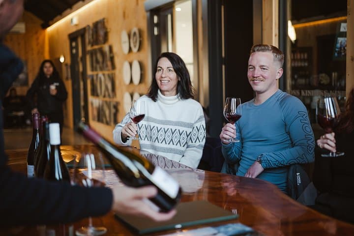 Scenic Helicopter Flight, Mountain Landing & Wine Tour Queenstown