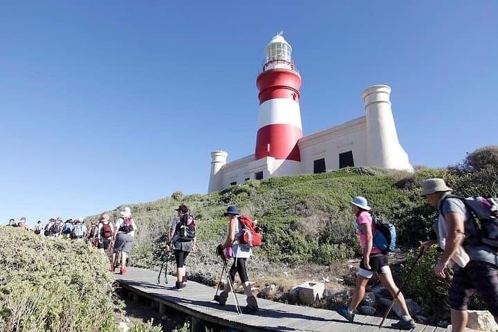 Cape Town Private 3-Days Helicopter Ride&Cape Point&Wine testing