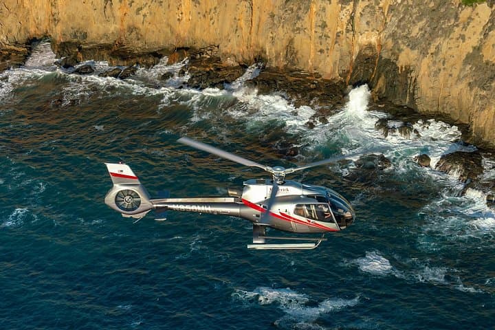 Coastal California Helicopter Tour from Long Beach