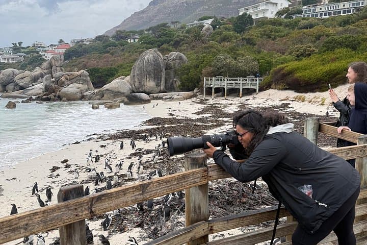 Cape Town Helicopter Tour and Boulders Beach Penguins Tour